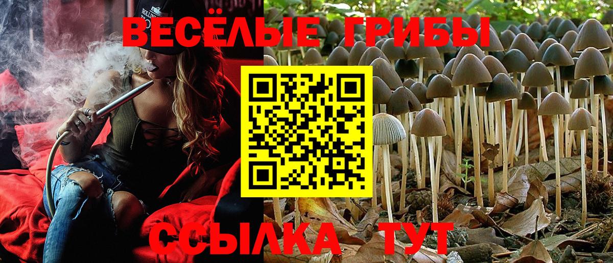 Ярославль  Псилоцибиновые грибы GOLDEN TEACHER  Вход с VPN 